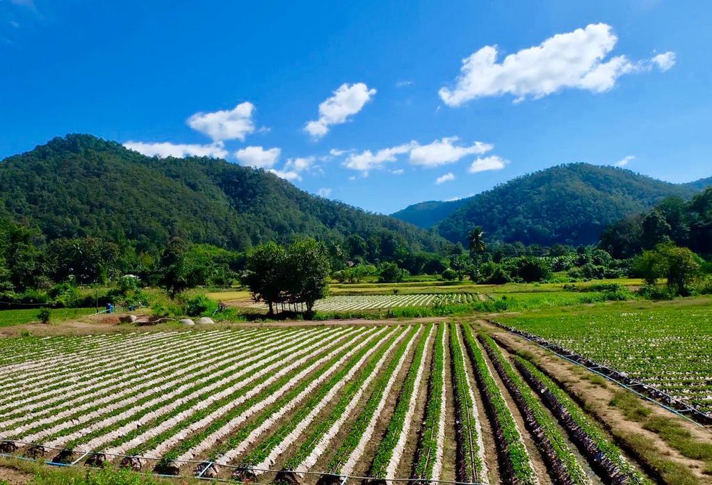 Wongwan Farm Villa Samoeng Exterior foto